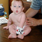 rocco @ 6 months