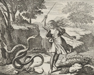 Easy with the snakes, T!